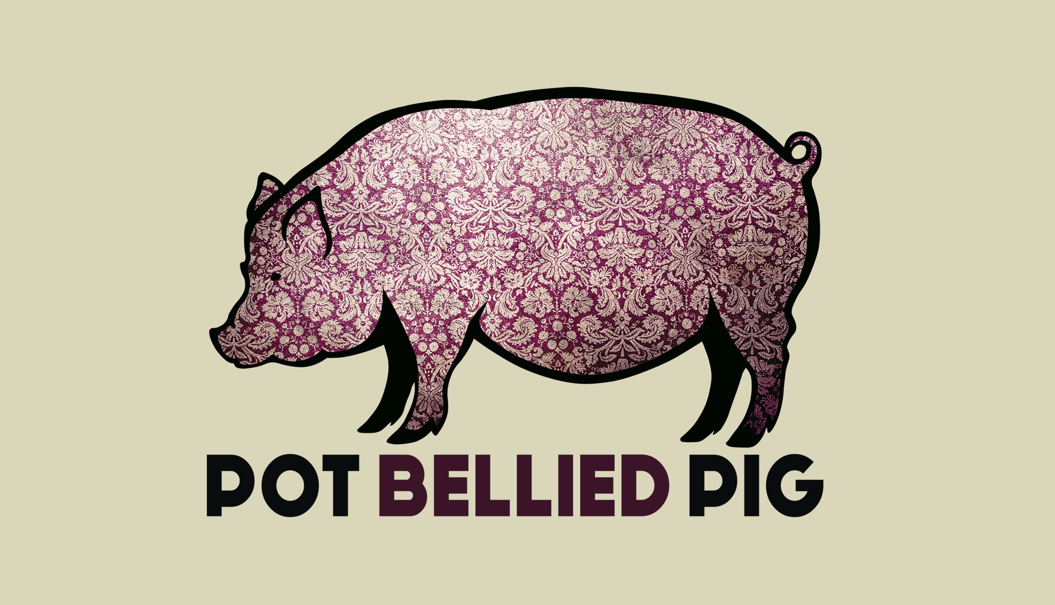 Pot Bellied Pig Careers, Pot Bellied Pig Jobs in Ireland jobs.ie