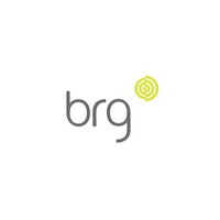 B.R.G. (Geotechnics) Limited