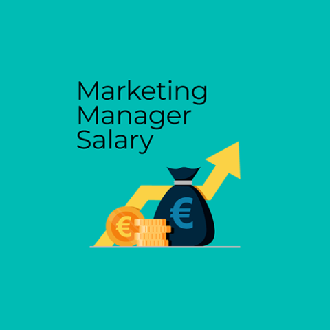 manager marketing salary jobs ie
